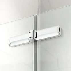 Swiss Aqua Technologies SK Porte de douche 100x196cm pliante anticalcaire avec profilé chrome brillant (SATSK100NIKA)
