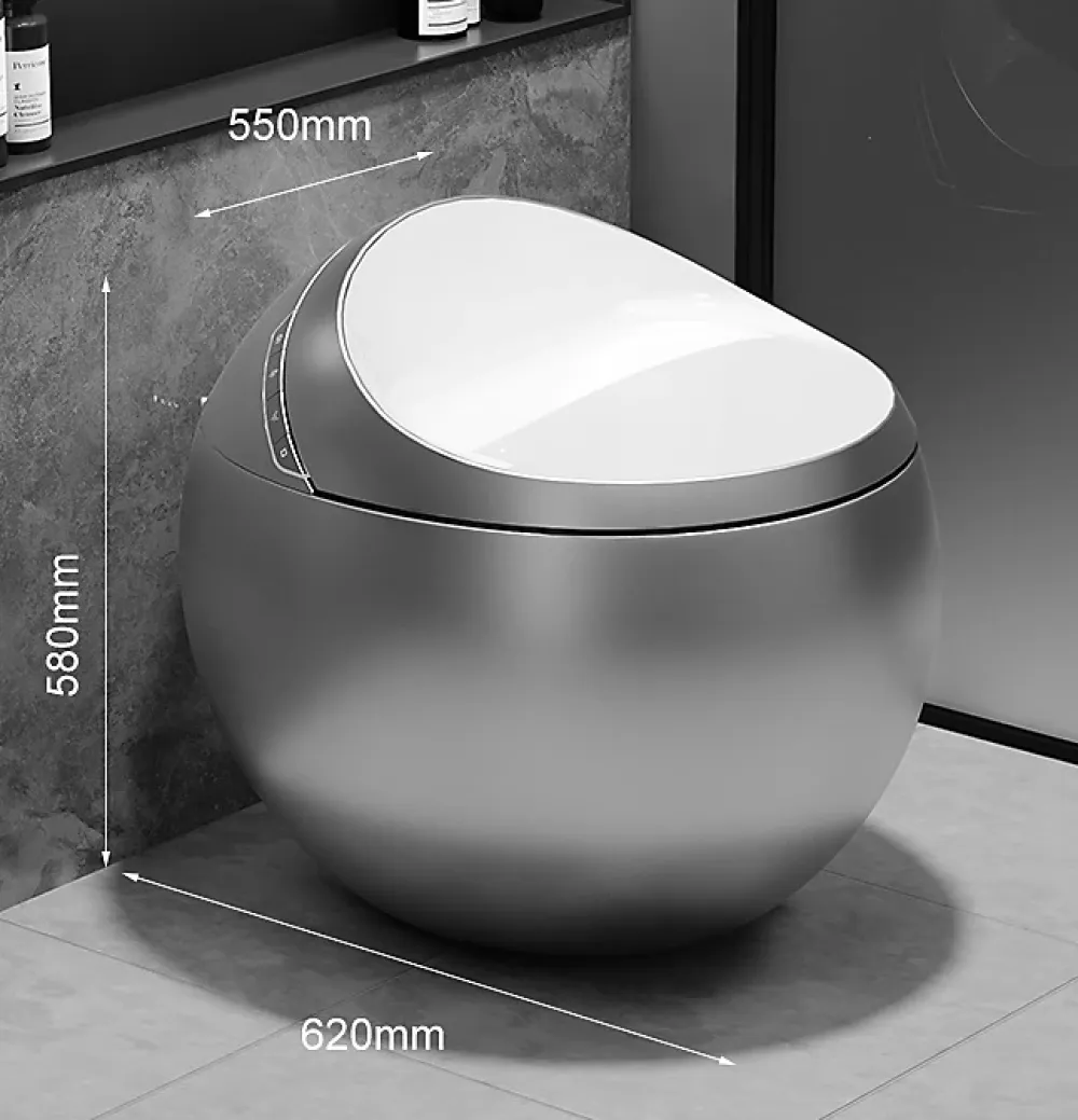 Wc Japonais|Japan Wc Toilette japonaise moderne Hoshi