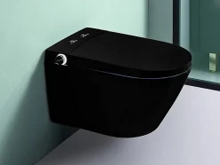 Japan Wc Toilette japonaise suspendue Fuji