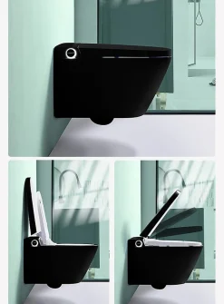 Japan Wc Toilette japonaise suspendue Fuji