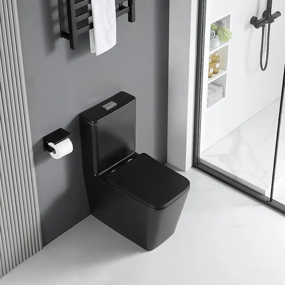 Stano Toilette WC à poser BRAGADO en ceramique noir mat