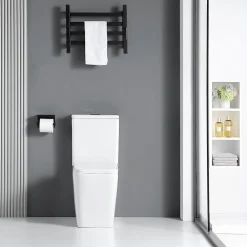 Stano Toilette WC à poser BRAGADO en ceramique