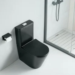 Stano Toilette WC à poser CIPOLI en ceramique noir mat