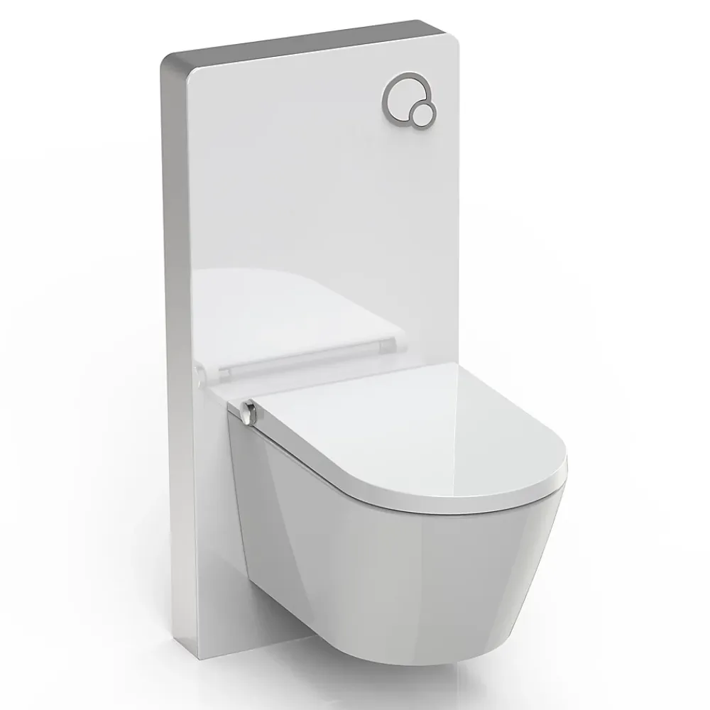 Bernstein Toilettes Japonais céramique, WC lavant japonais avec module blanc (100,4x48,3x10,8cm) - WC 38,4x59,3x38cm - Basic 1102