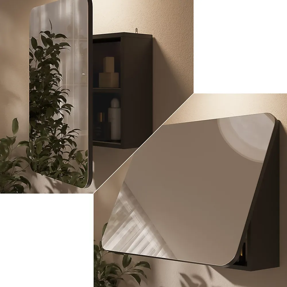Vicco Armoire de toilette Anthracite 65x50cm avec des étagères
