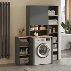 Vicco Armoire machine à laver Anthracite/chêne doré 68x88.2cm