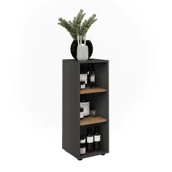 Vicco Armoire Midischrank Anthracite/Artisan 30x81cm avec 3 compartiments de rangement