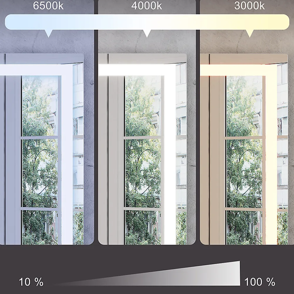 Vicco Miroir mural Verre 40x60cm avec éclairage frontal