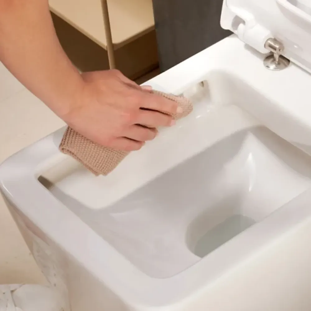 Hansgrohe WC à poser sans bride sortie universelle Elupura Original Q avec abattant