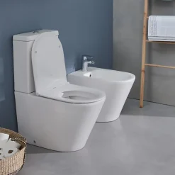 Wc À Poser|Jacob Delafon WC à poser sans bride sortie universelle Rodin+ avec abattant frein de chute + tabouret physiologique bois
