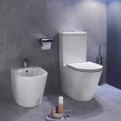 Wc À Poser|Jacob Delafon WC à poser sans bride sortie universelle Rodin+ avec abattant frein de chute + tabouret physiologique bois