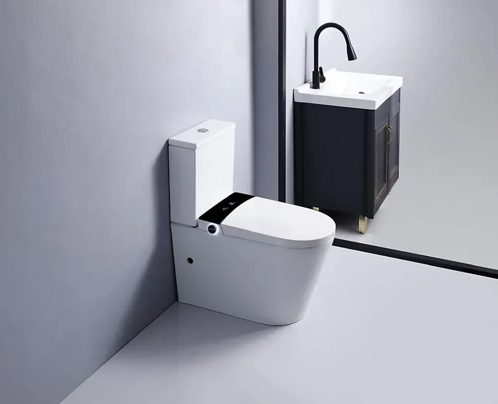 Rentside WC JAPONAIS EN CERAMIQUE - T5 WALL HUNG SUR PIEDS