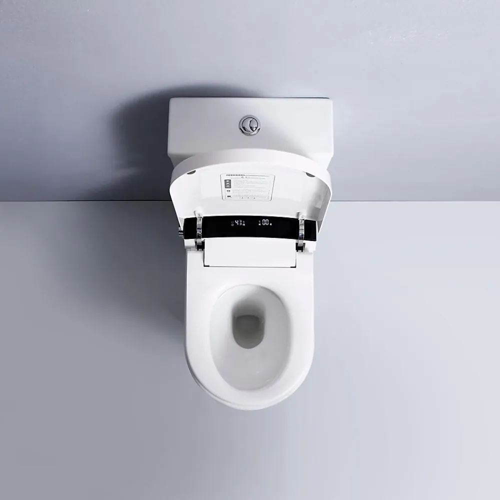 Rentside WC JAPONAIS EN CERAMIQUE - T5 WALL HUNG SUR PIEDS