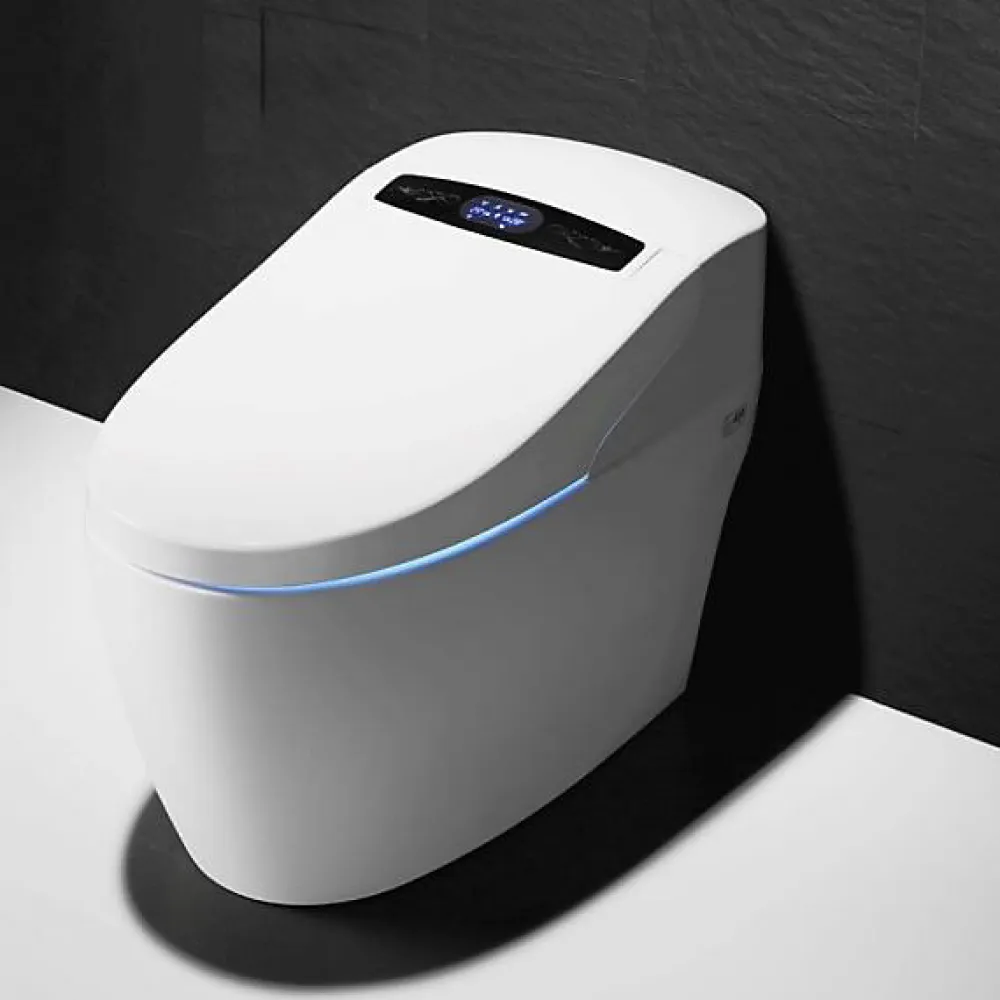 Wc Japonais|Toptoilet WC Japonais Monobloc Luxe Platinium 2 Plus
