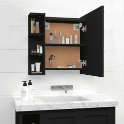 zmh Armoire à miroir avec LED noir 70x16,5x60 cm