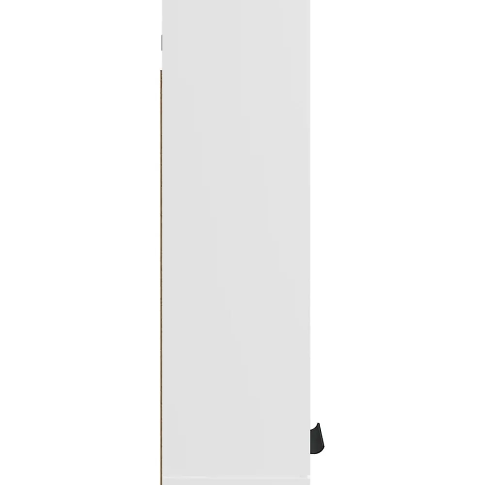 zmh Armoire de salle de bain murale Blanc 32x20x67 cm